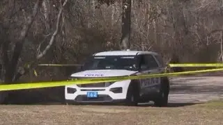 Several people questioned in discovery of body parts in Babylon: sources