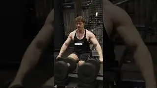 The 