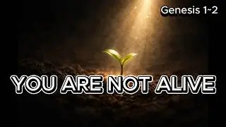 How Does God Restore Human Life | Genesis 1:26&ndash;2:17