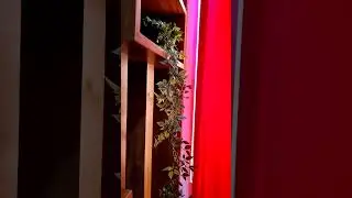 What I Ordered Vs What I Got| Amazon find| Artificial Plant