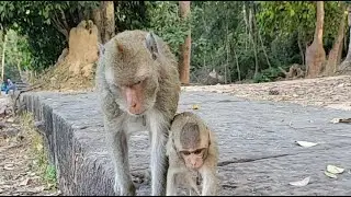 Amara great mom
