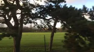 Tram Journey 1: Elmers End - Arena