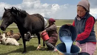 HORSE MILKING | How to make fermented horse milk in the wild | Nomadic life