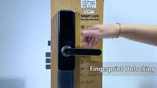 Tenon K6 Smart Fingerprint Door Lock – 5-in-1 Keyless Entry #smartlock #fingerprintlock