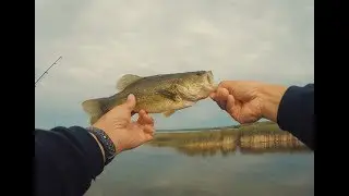 Bass Fishing in Spicer, MN on Green Lake