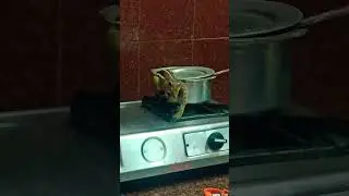 😍 anil kutty atrocity 😍 | #tamil