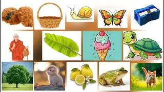 Little Brain Test - Fun Memory game for kids and Adults