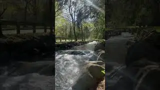 Relaxing sounds of a babbling brook#naturesounds #relax #syracuse #sleep