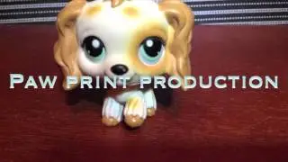 Shoutout to paw print productions