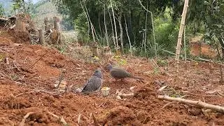 bổi cuối tuần ae xem vui