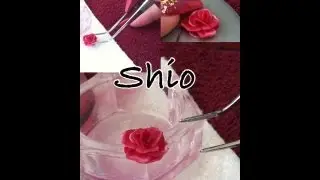 How to: Miniature Roses - High 3D