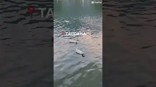 Beauty of taudaha🩷 #minivlog #taudaha