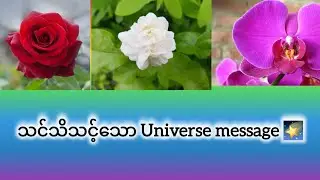 သင်သိသင့်သော #universe  message #generalreading #tarot #fortunetelling 