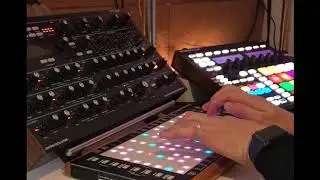Novation Peak and Linnstrument