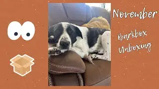 Opening Munch&rsquo;s November BarkBox