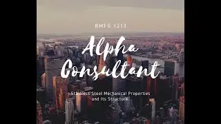 BMFG 1213 Stainless Steel Mechanical Properties and Its Structure (316L SS)
