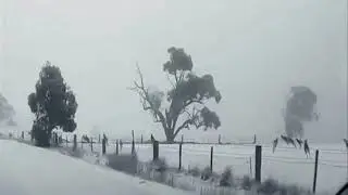 Sara Noxx - Winter Again