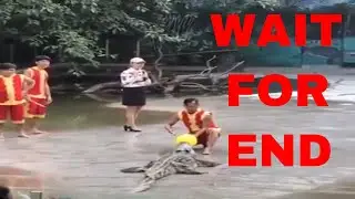 FUNNY VIDEO | CROCODILE MEGA SHOW | FUNNY MOMENTS  #shorts