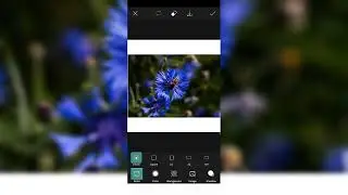 Kelas Master Pengeditan Warna Potret HDR Photoshop | Tampilan 4K Canon R5🔥#n925k#986