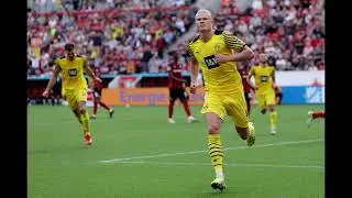 BRIEF HISTORY OF ERLING HAALAND CAREER.#erlinghaland #premierleague #manchestercity @CityFanTV