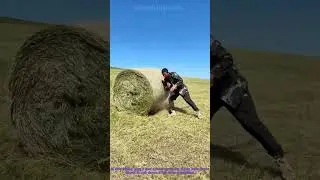 Man Stops Hay Bale From Rolling Down Hill