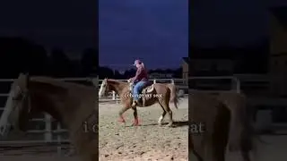 evolution FOR HER! #horse #coaching #training #equestrian