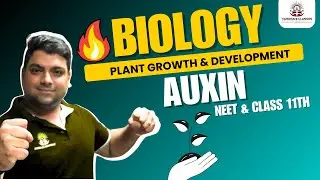 PLANT GROWTH & DEVELOPMENT | AUXIN | BY DR KARAN VARDHANI | CLASS 11TH & NEET In ENGLISH