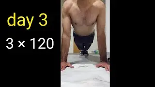 1 Month Puss-Ups Transformation Challenge (day 3)