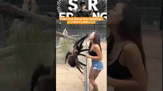 Prank Gone Wrong! Giant Spider Traps Girl in a Web,😱😱#viralvideo #spider #giantspider #prank#shorts