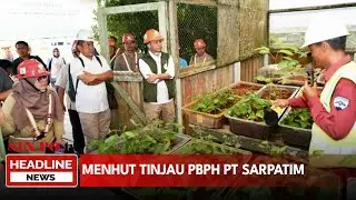 Menhut Tinjau PBPH PT Sarpatim