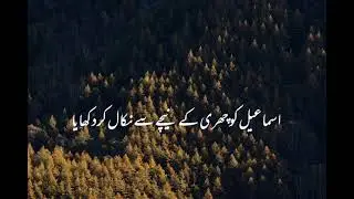 Us Allah se mango |Maulana Tariq Jameel lyrics | WhatsApp Status lyrics, WhatsApp Status 