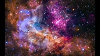 RetroFox - Stellar Mind