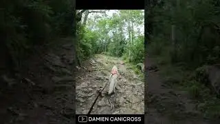 On travaille le D&eacute;nivel&eacute; positif ! 💪