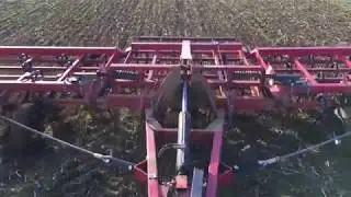 Herse cultimulch sur bl&eacute; en place