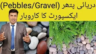 Export of Pebbles/Gravels Stones from Pakistan | MiningInsights