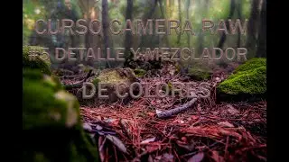 CURSO DE CAMERA RAW #5 DETALLE Y MEZCLADOR DE COLORES