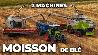 MOISSON de BL&Eacute; avec 2 MACHINES ! 😳 - Claas Lexion / Claas 830 / Case IH 165