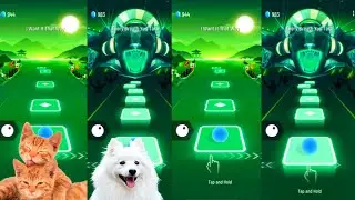 Tiles hop EDM Rush   Cute cats vs White dog on Ball Games channel