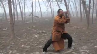Shaolin Xin Yi Quan - Shifu Kanishka ( Shi Yanyou)