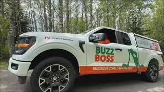 How to get rid of Box Elder Bugs / Beetles / Maple Bugs - Fast & Safe in Canada!