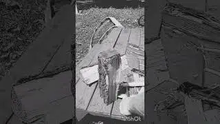 Temu Esee Clone VS Log