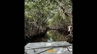 Captain Jack&rsquo;s Airboats and Everglades Boardwalk