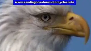 San Diego Custom Motorcycles