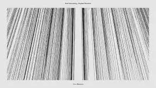 Karl Schoenberg - Raphael Beaudon - Live Mutation