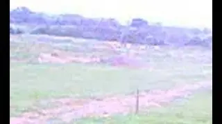 market harbough motox track