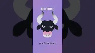 BUCEPHALE #AlexandreleGrand #cheval #taureau #animal #zoologie #&eacute;tymologie #sciences