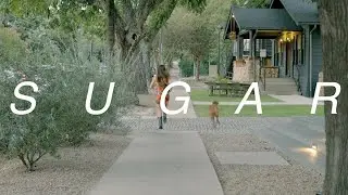 Sisi - Sugar Music Video