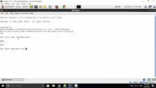 How to know database version