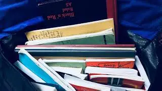 593. Going through pages in an old diary