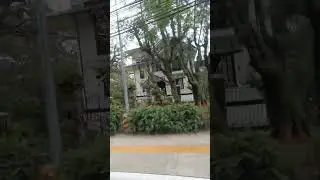 Laperal: The Haunted White House
